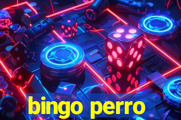 bingo perro