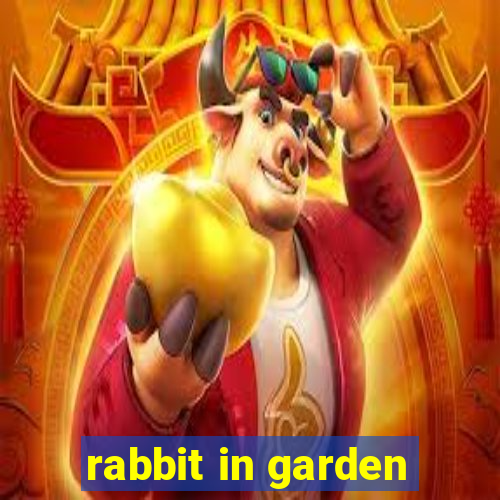 rabbit in garden