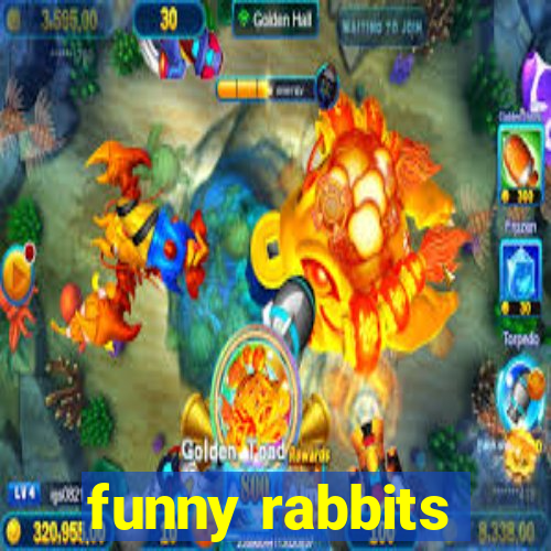 funny rabbits