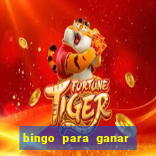 bingo para ganar dinero en paypal