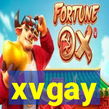 xvgay