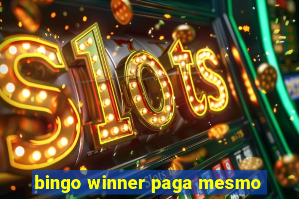 bingo winner paga mesmo