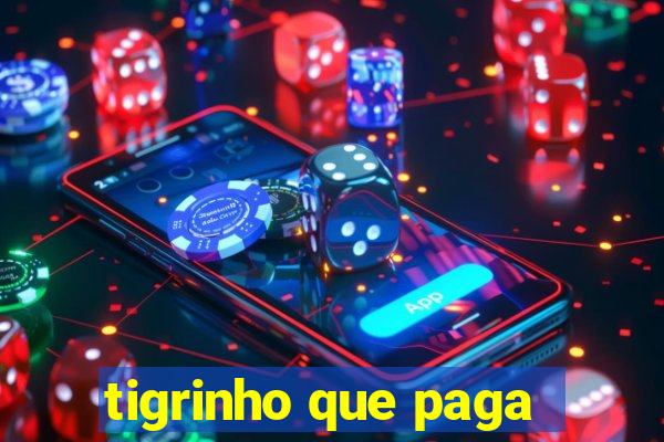 tigrinho que paga