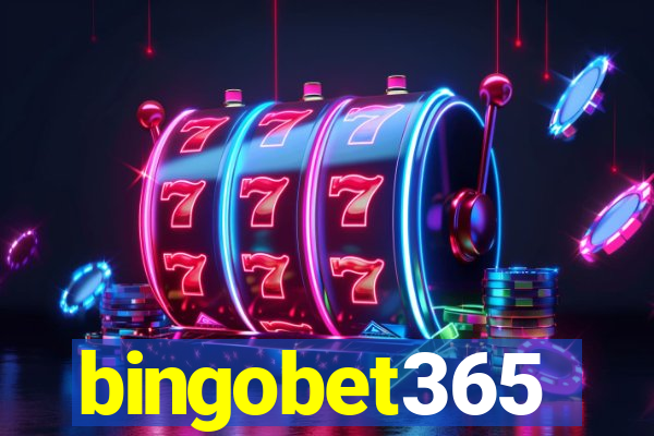 bingobet365