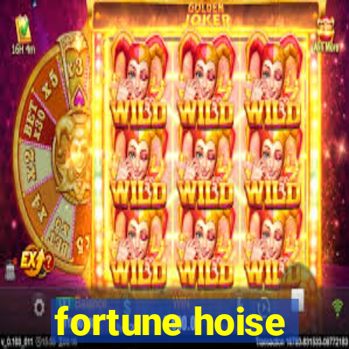 fortune hoise