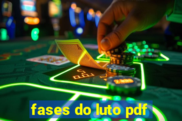 fases do luto pdf