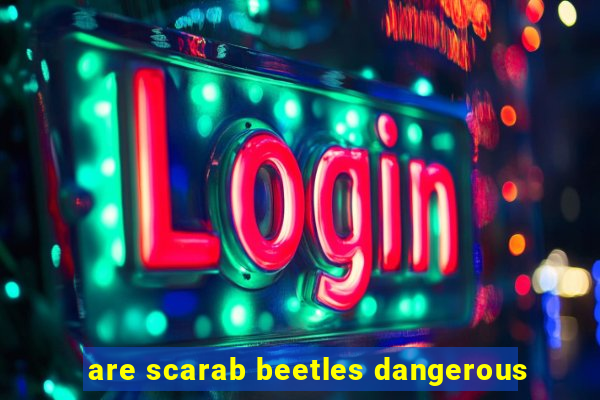 are scarab beetles dangerous