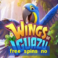 free spins no deposit bonus casino