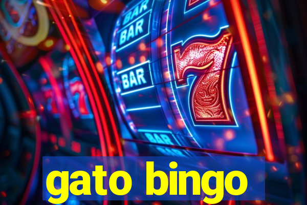 gato bingo