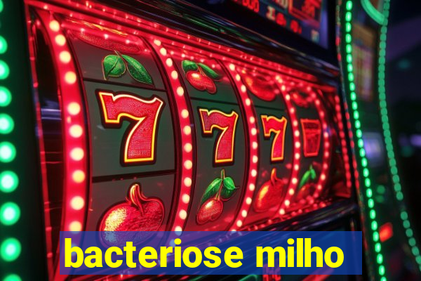 bacteriose milho