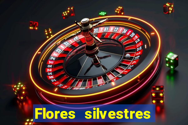 Flores silvestres brasileiras 25