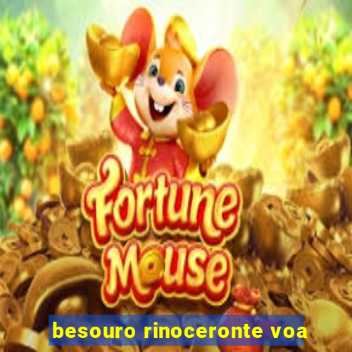 besouro rinoceronte voa