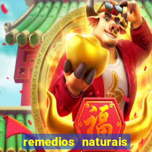 remedios naturais para diabetes