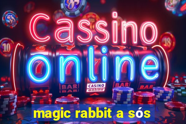 magic rabbit a sós