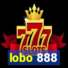 lobo 888