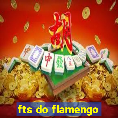 fts do flamengo