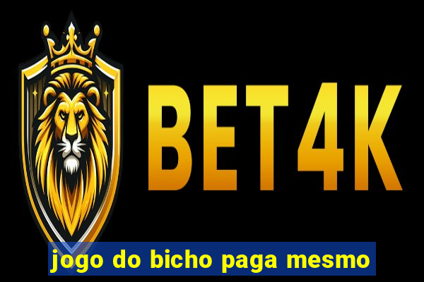 jogo do bicho paga mesmo