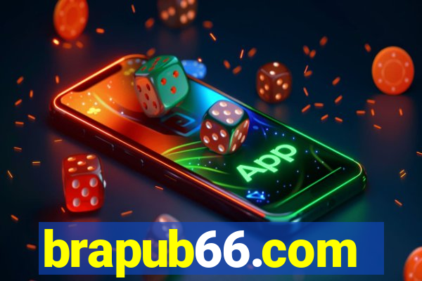 brapub66.com