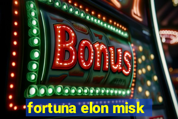 fortuna elon misk