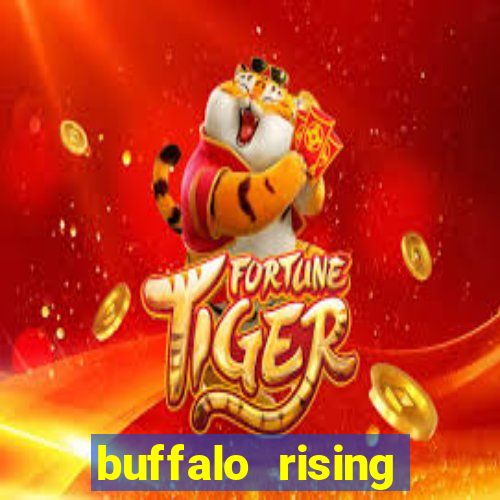 buffalo rising megaways slots