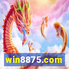 win8875.com