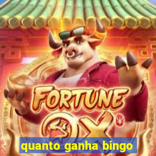 quanto ganha bingo