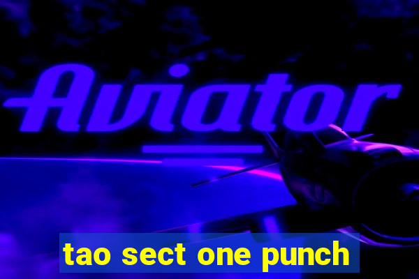 tao sect one punch