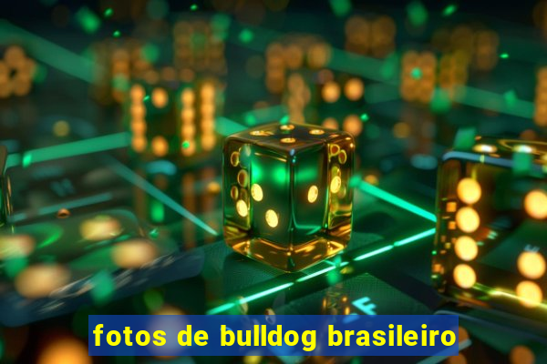 fotos de bulldog brasileiro