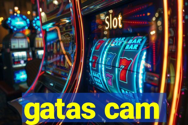 gatas cam