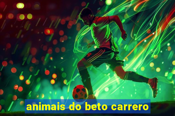 animais do beto carrero