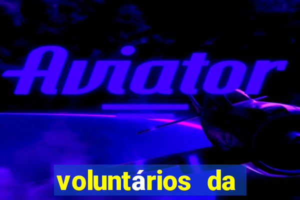 voluntários da pátria 344