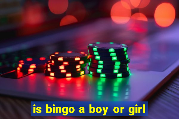 is bingo a boy or girl