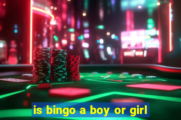 is bingo a boy or girl