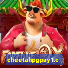 cheetahpgpay1.com