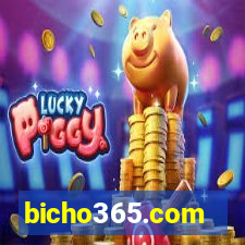 bicho365.com