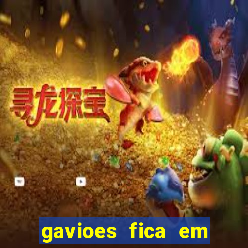 gavioes fica em qual setor