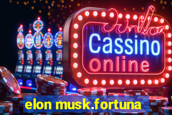 elon musk.fortuna