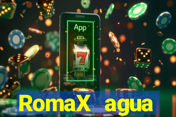 RomaX agua sanitaria fispq agua sanitaria romax