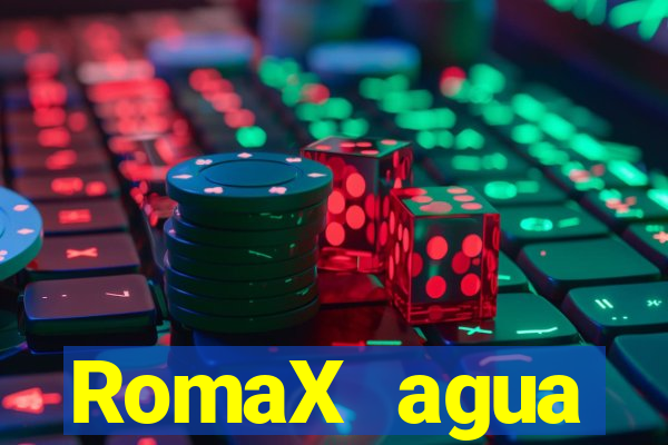 RomaX agua sanitaria fispq agua sanitaria romax