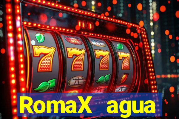 RomaX agua sanitaria fispq agua sanitaria romax