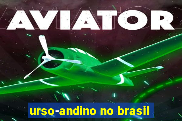 urso-andino no brasil