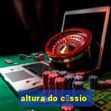 altura do c谩ssio