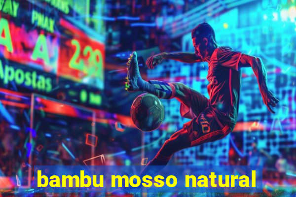 bambu mosso natural