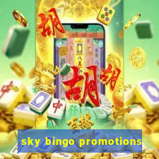 sky bingo promotions