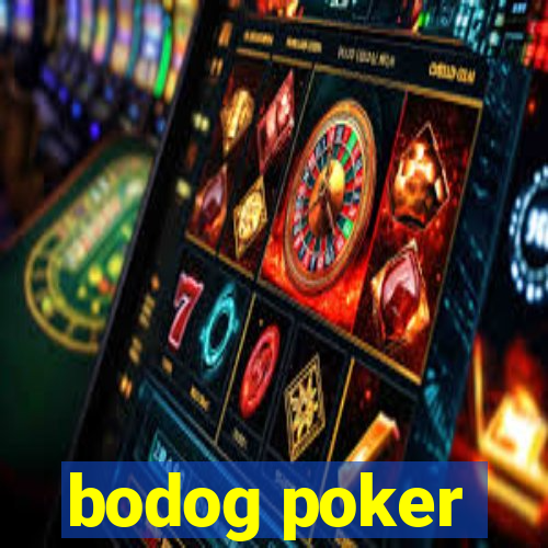 bodog poker