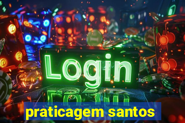 praticagem santos