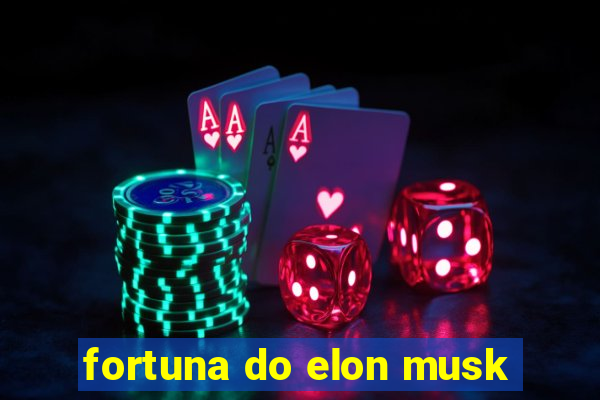 fortuna do elon musk