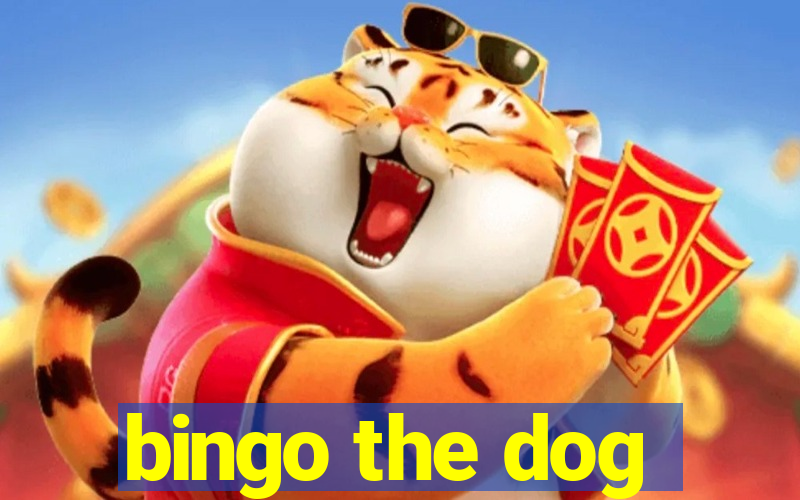 bingo the dog