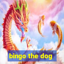 bingo the dog