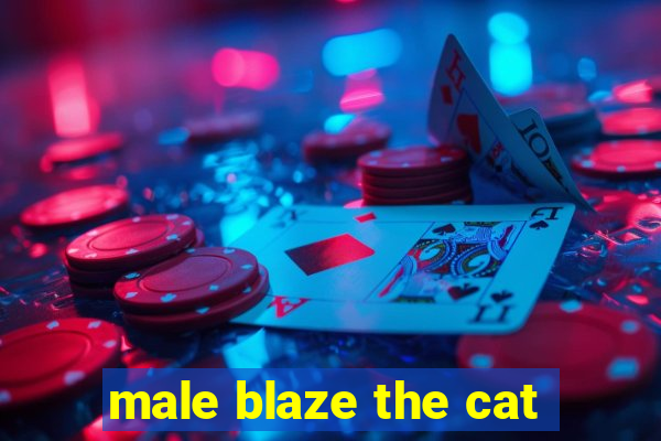 male blaze the cat